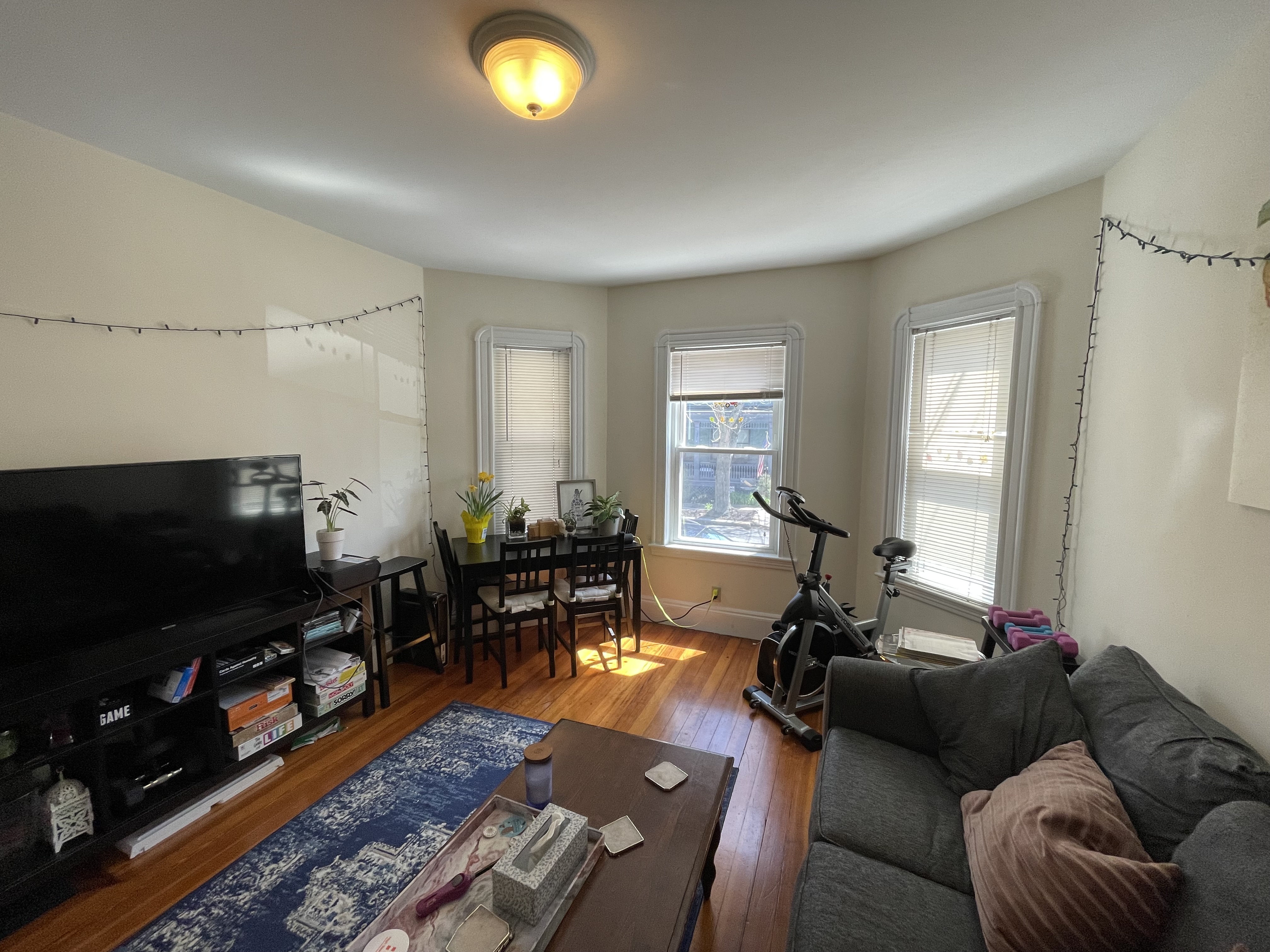 10 Chandler St, Davis Square