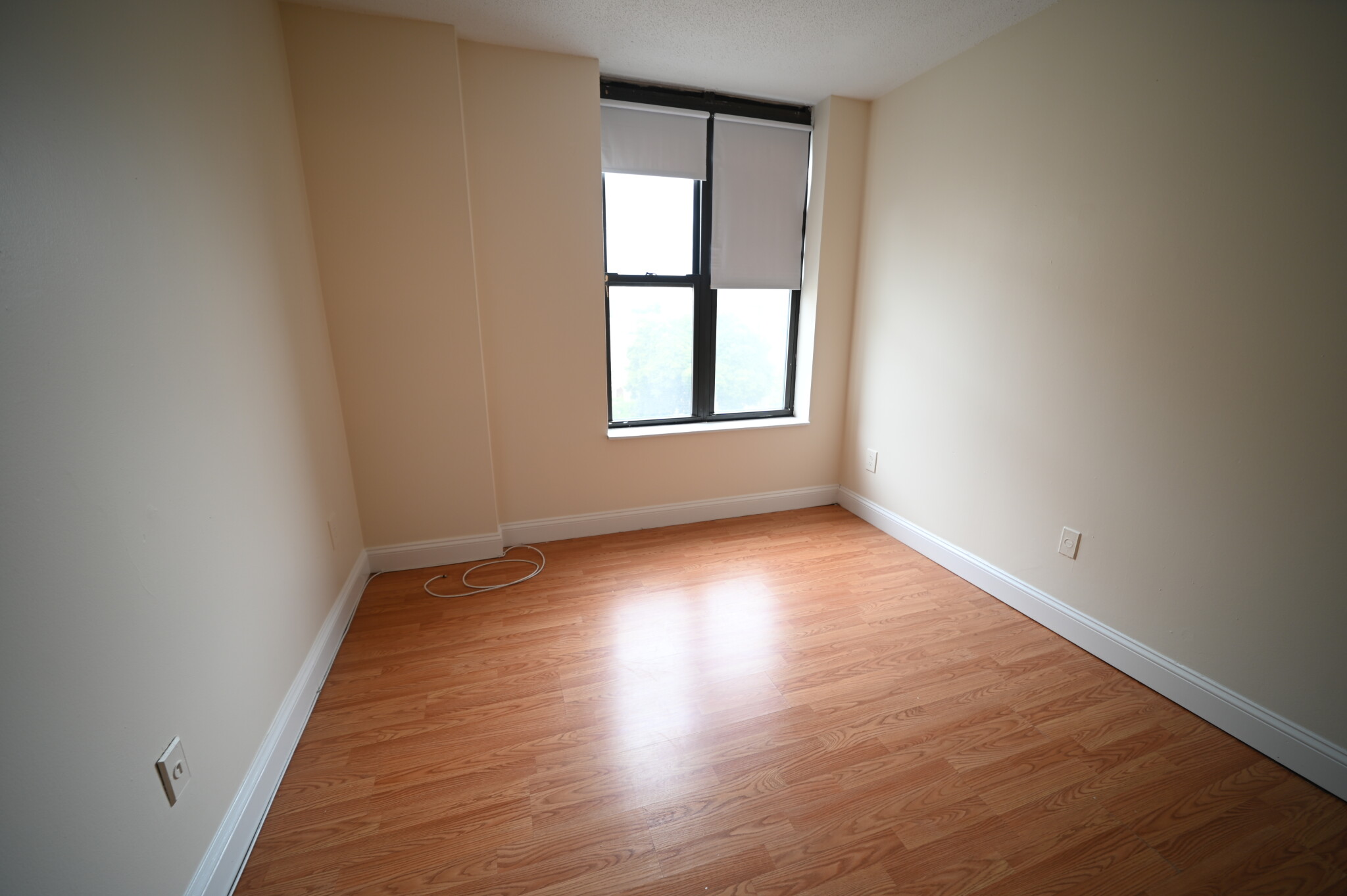 1126 Boylston St, Fenway