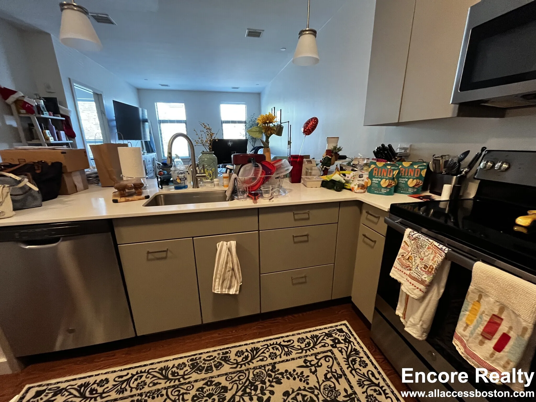 455 Harvard St, North Brookline