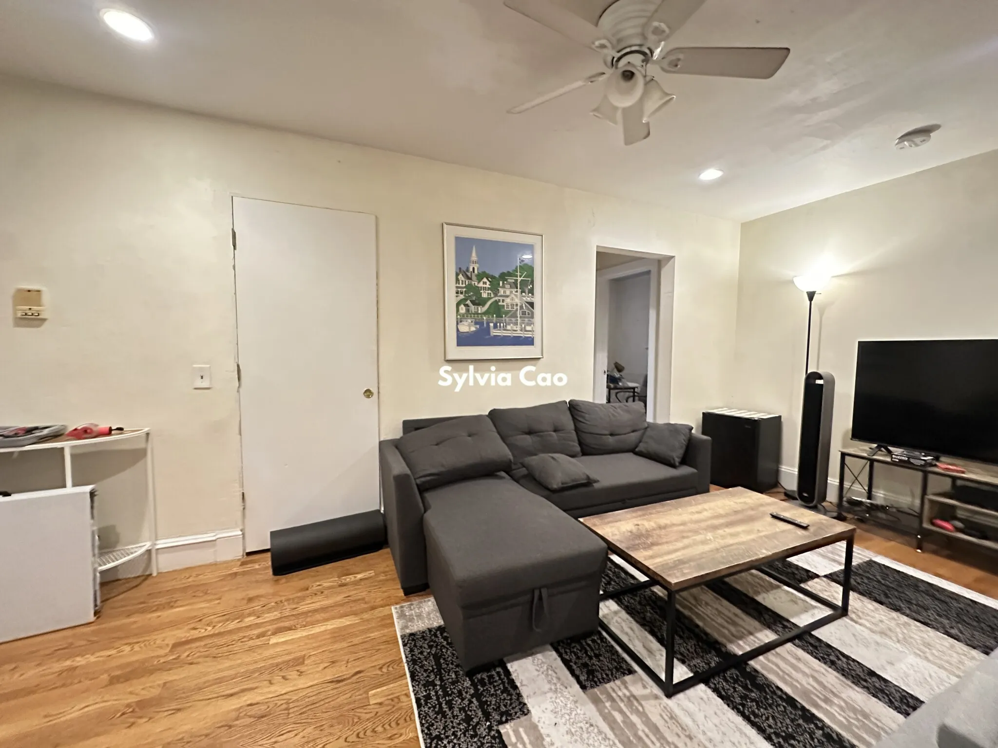 56 Egmont St, North Brookline