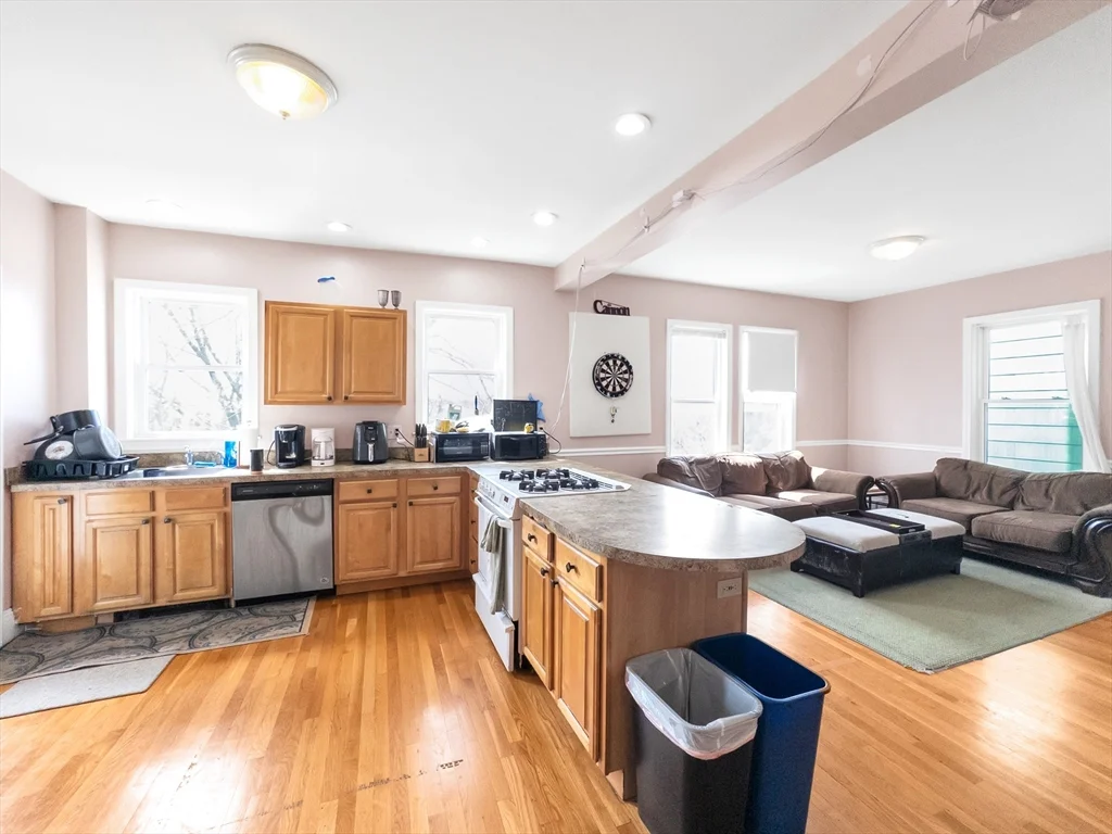 32 Fisher Ave, Mission Hill