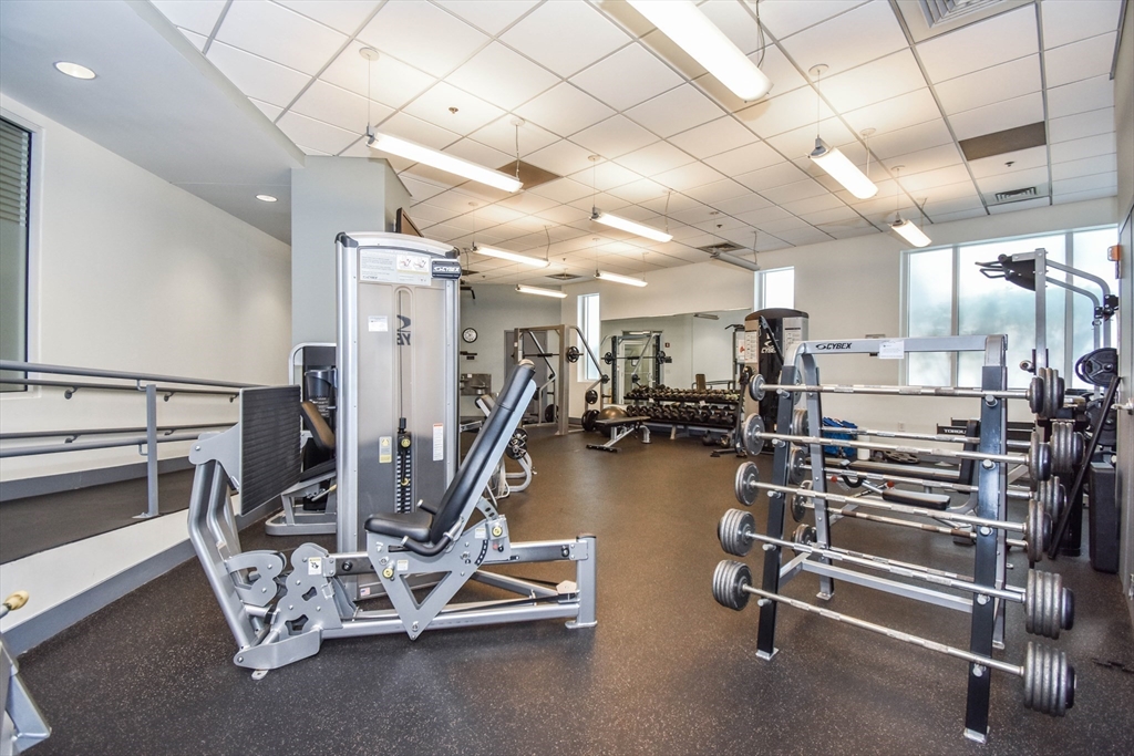 10 Museum Way, East Cambridge