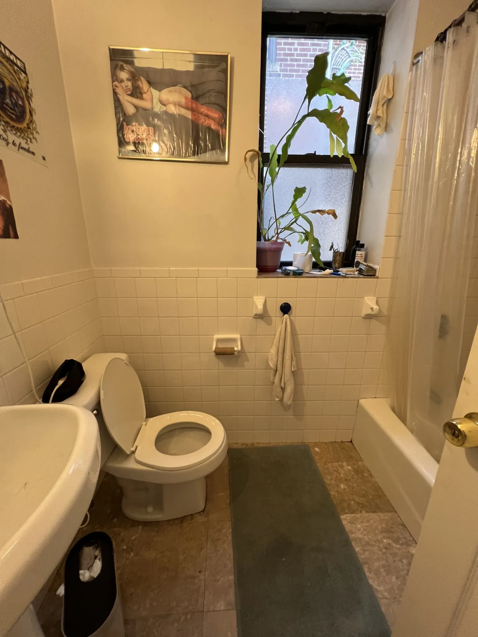 11 Cummings Rd, Brighton