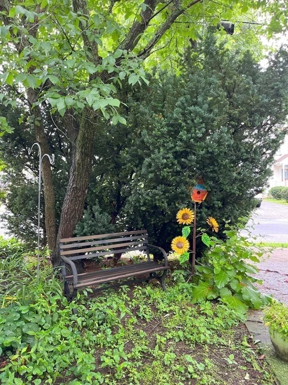 85 Gardner St, Newton