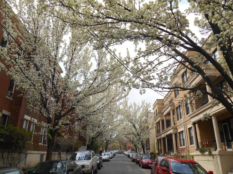 15 Carol Ave, Brighton