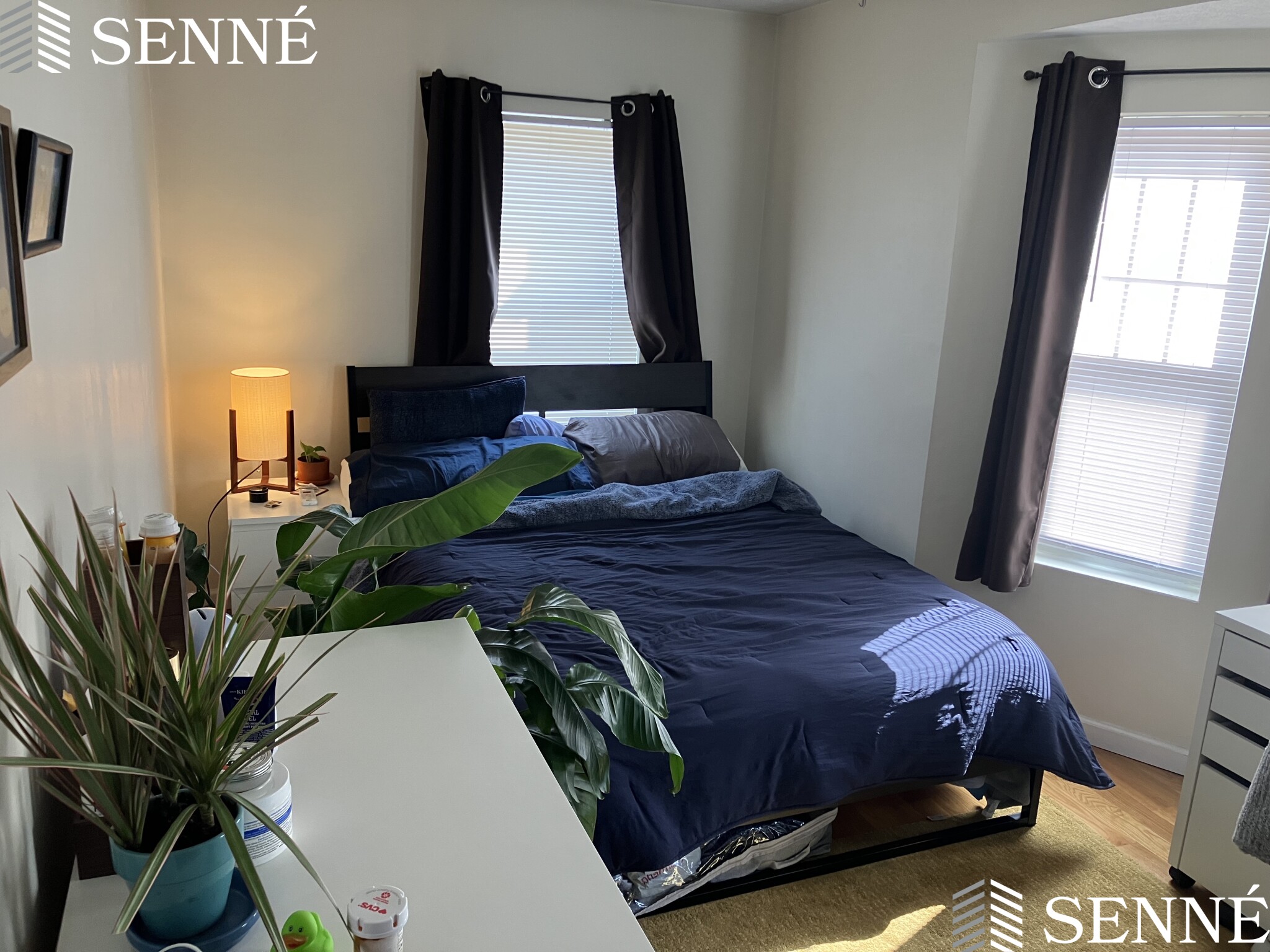 12 Winter St, Davis Square