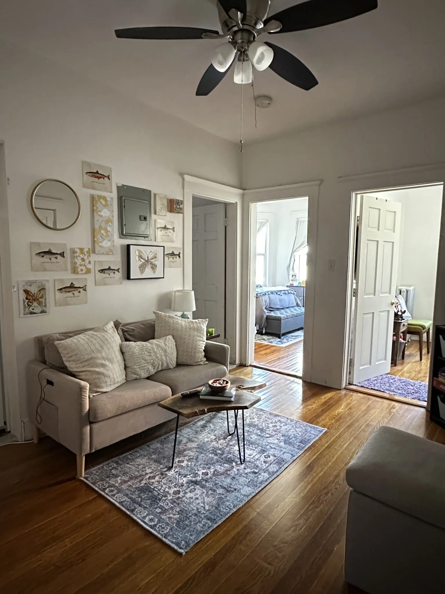 15 Scottfield Rd, Brighton