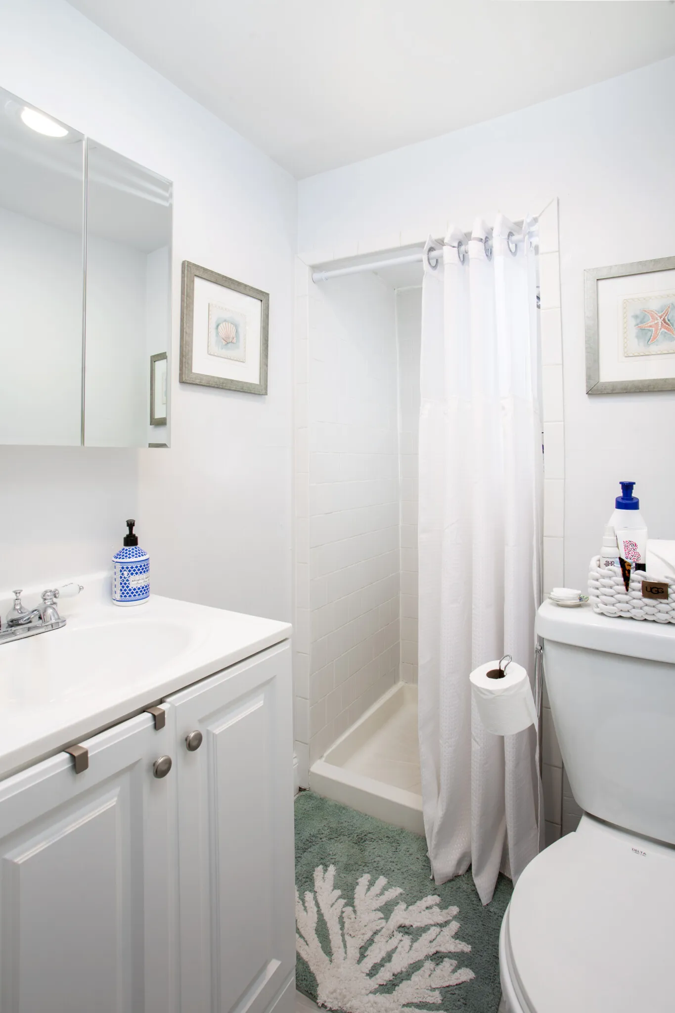 24 Anderson St, Beacon Hill
