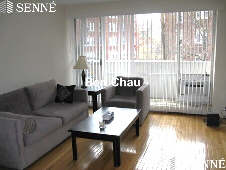 29 Concord Ave, Neighborhood Nine