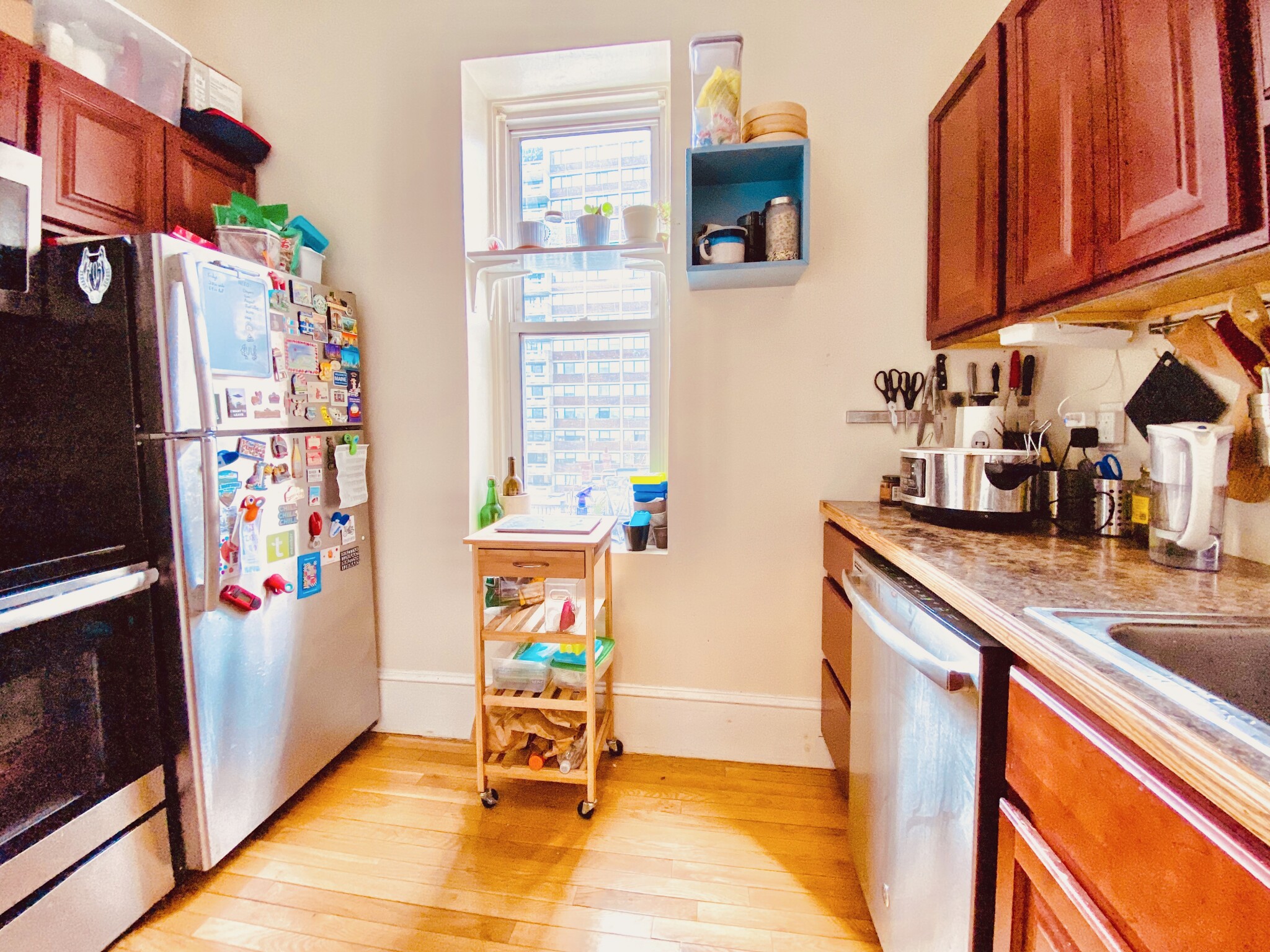 1477 Beacon St, Griggs Park