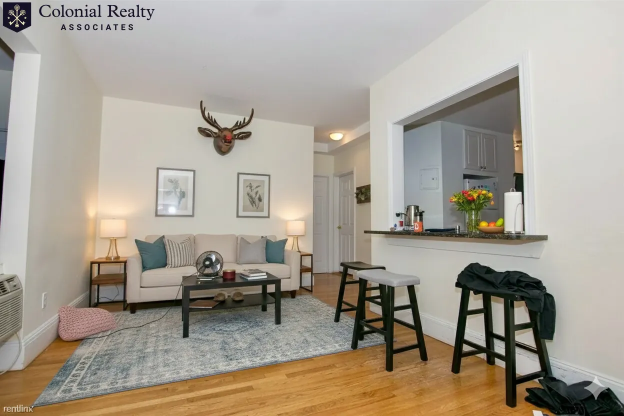 62 Egmont St, North Brookline