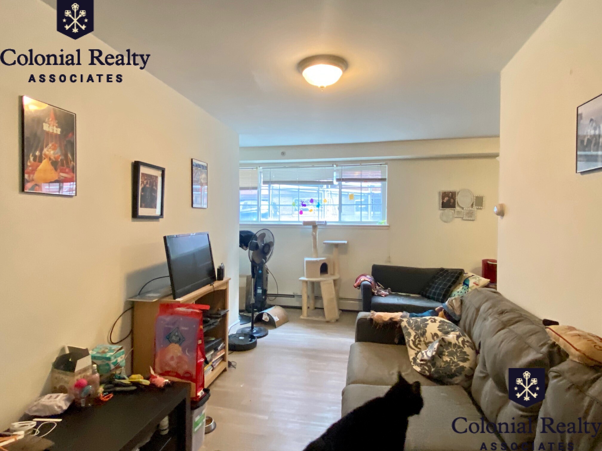 8 Griggs St, Allston