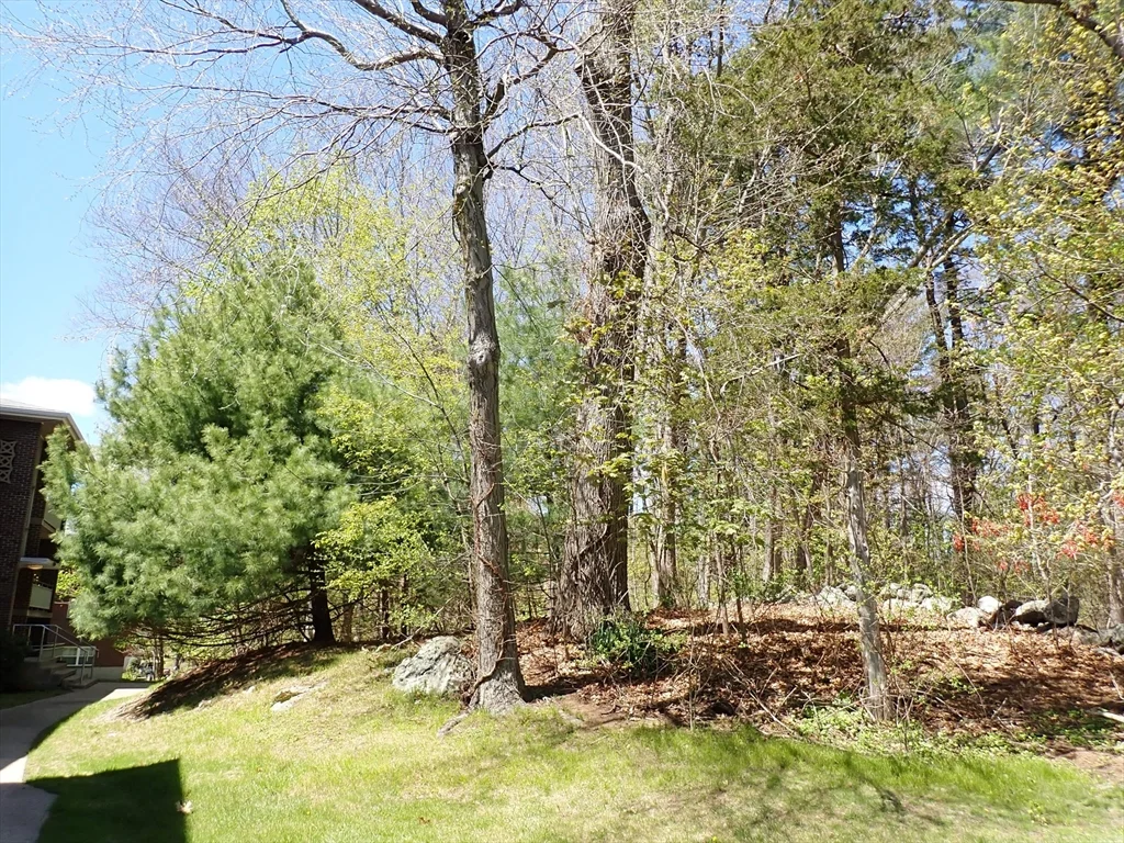 51 Jacqueline Rd, Waltham