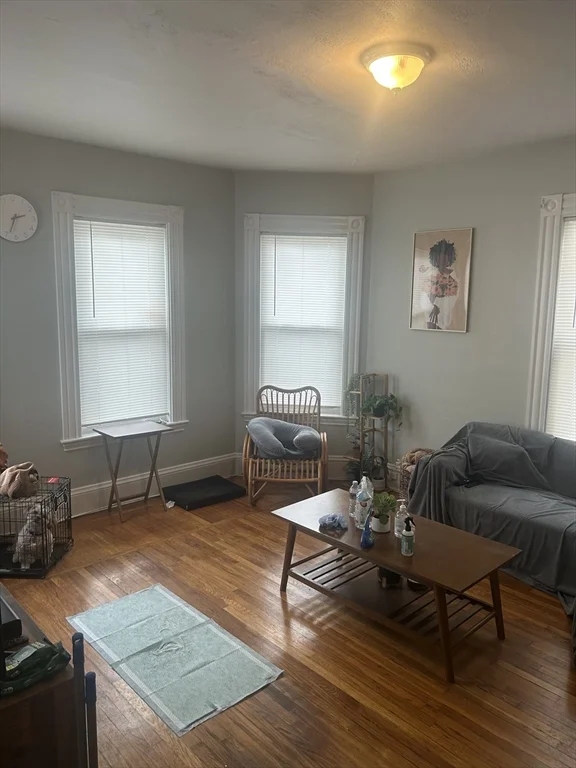 41 Sheffield Rd, Roslindale