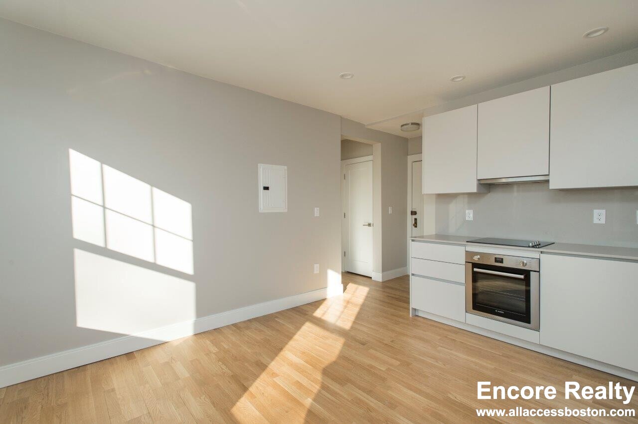 288 Chestnut Hill Ave, Brighton