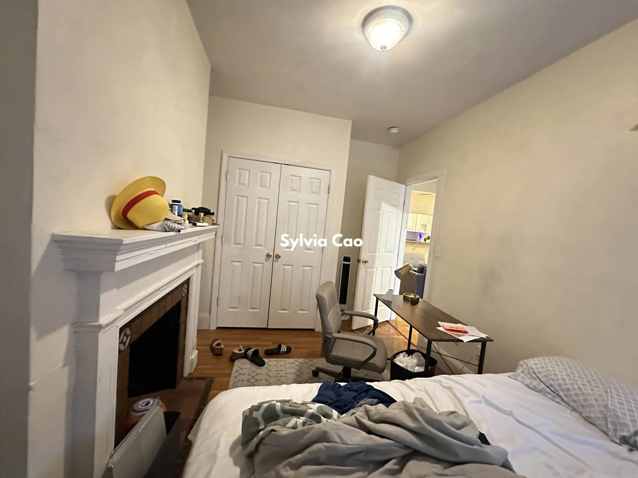 56 Egmont St, North Brookline