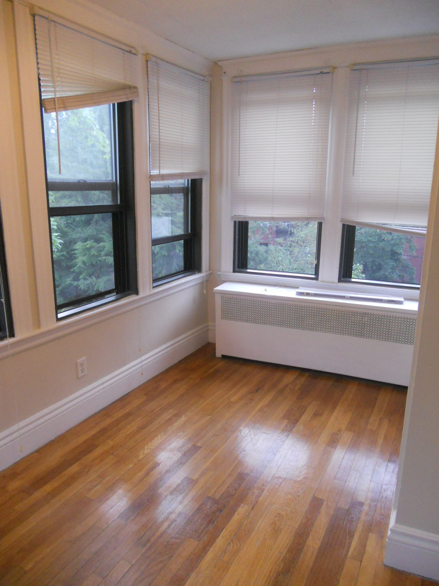 40 Carlton St, Longwood