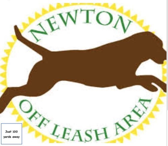 37 Lewis St, Newtonville