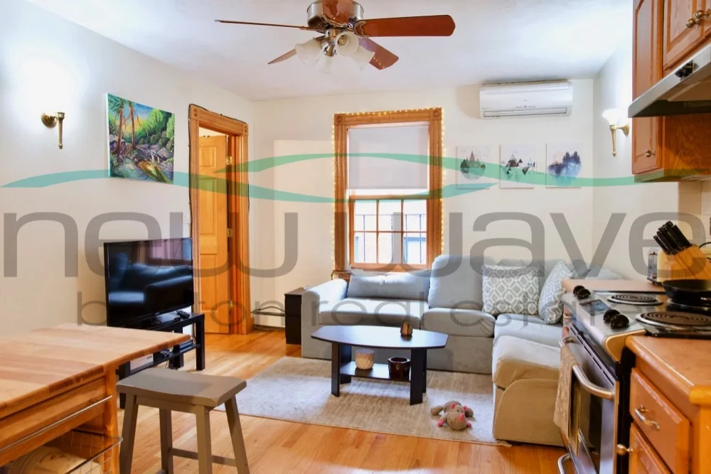 61 Anderson St, Beacon Hill