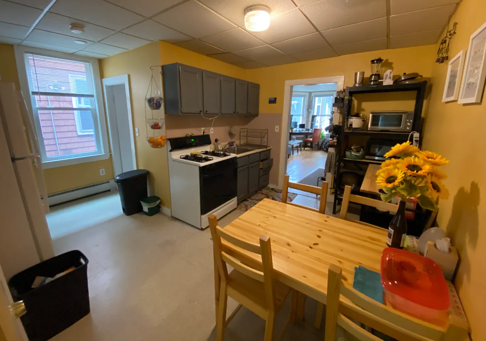 379 Windsor St, Wellington-Harrington