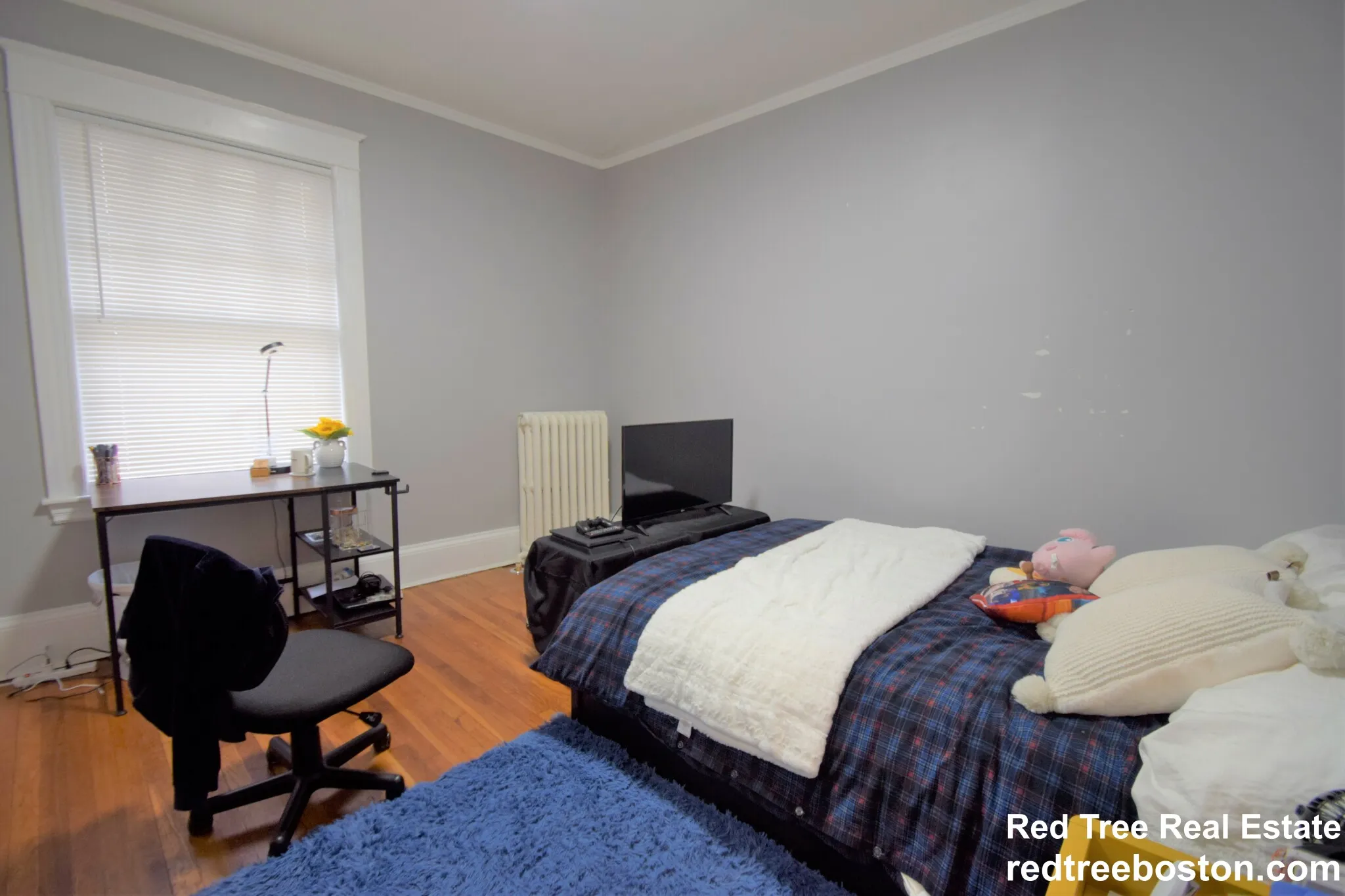 235 Chestnut Hill Ave, Brighton