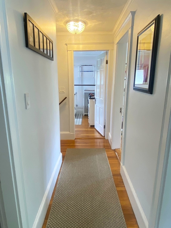 35 Reedsdale Rd, Milton