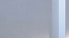 15 W Bellflower, Dorchester