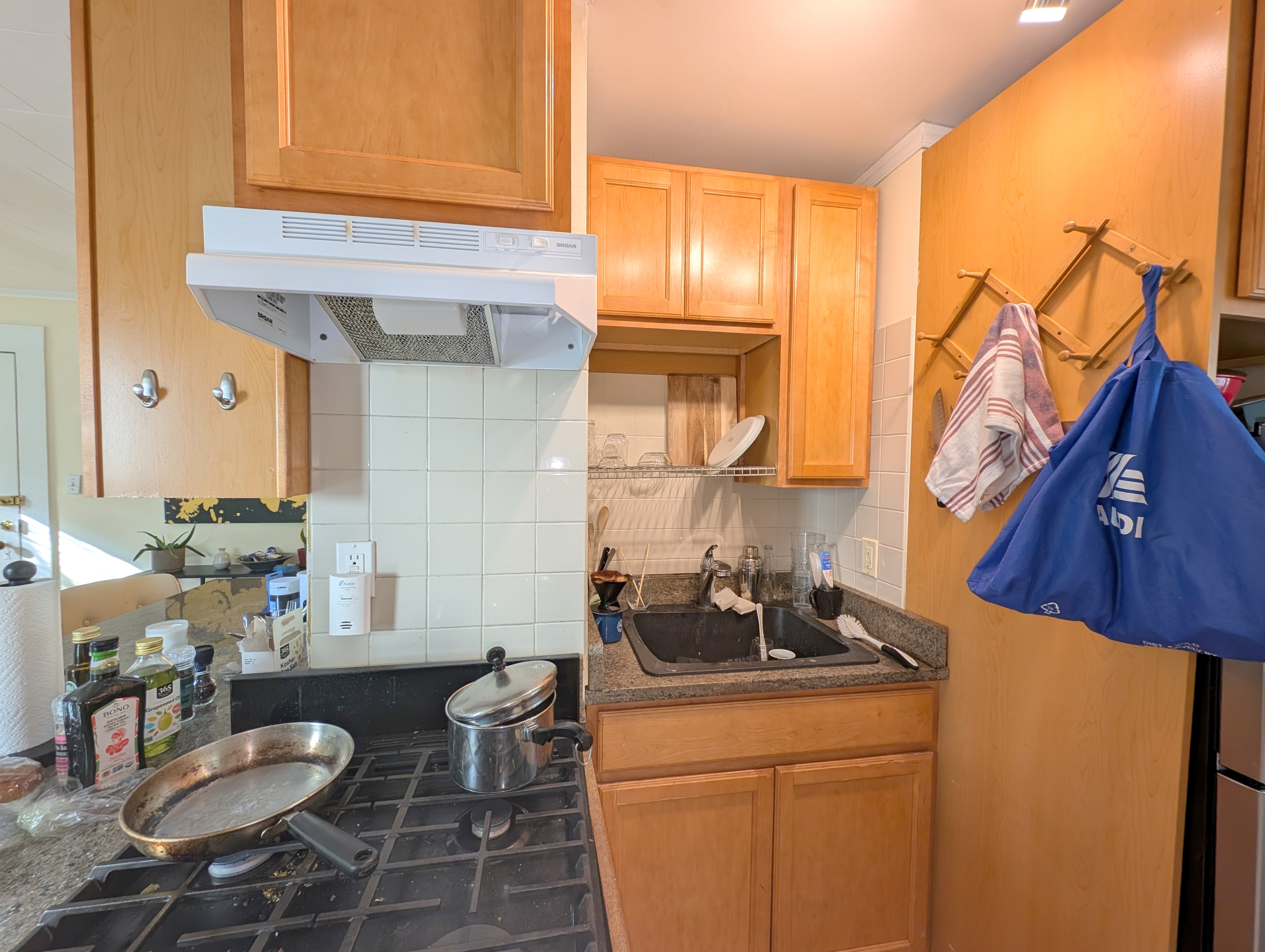 18 Union St, Wellington-Harrington