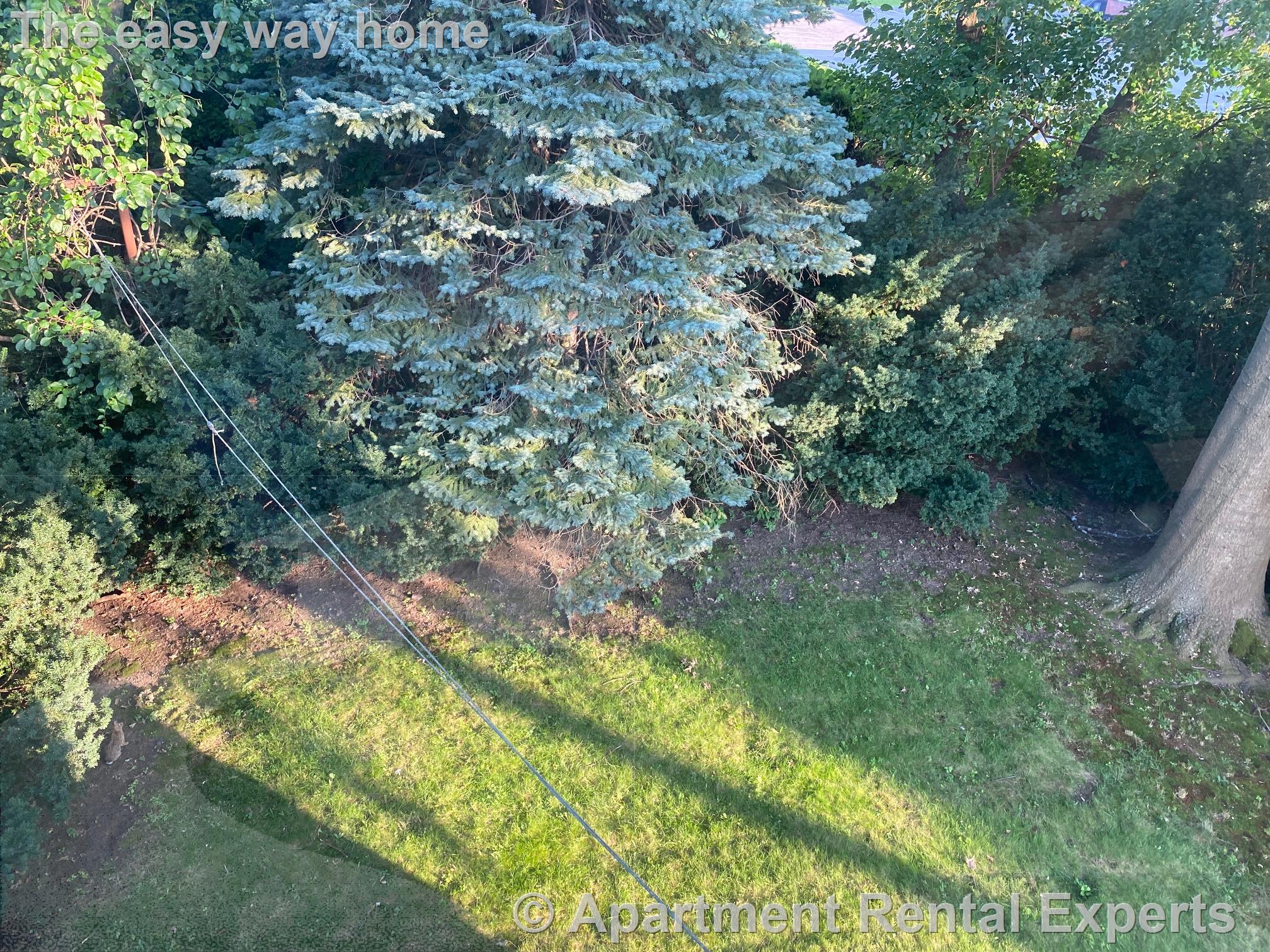 76 Endicott Ave, Teele Square