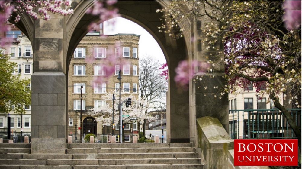 15 Aberdeen St, Fenway