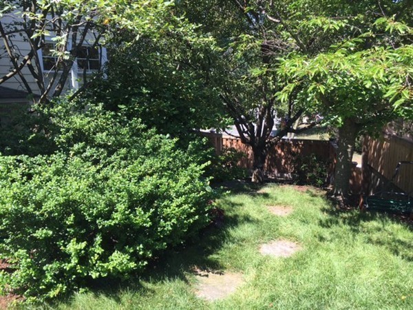 9 Dunstable Rd, West Cambridge