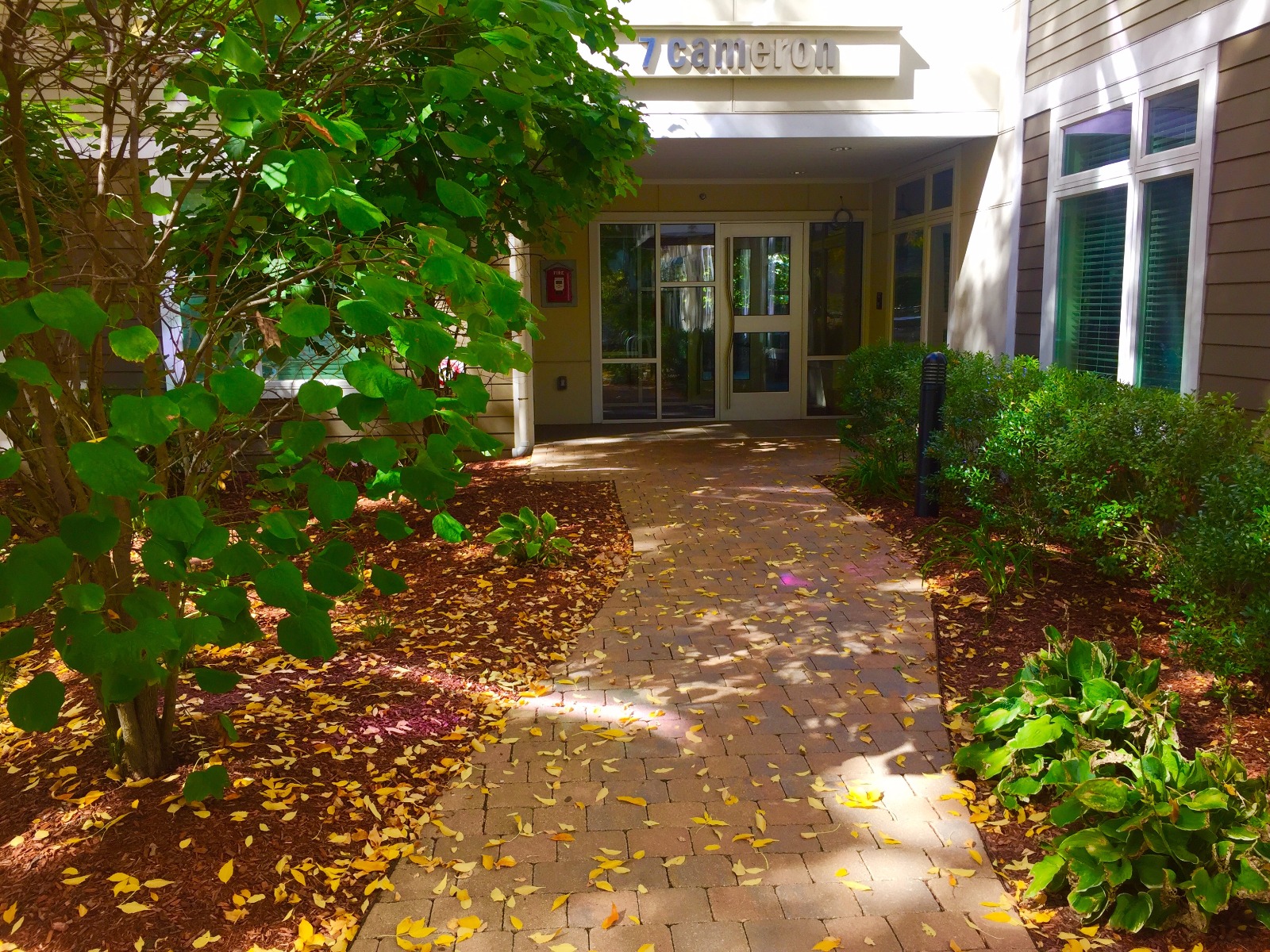 7 Cameron Ave, North Cambridge