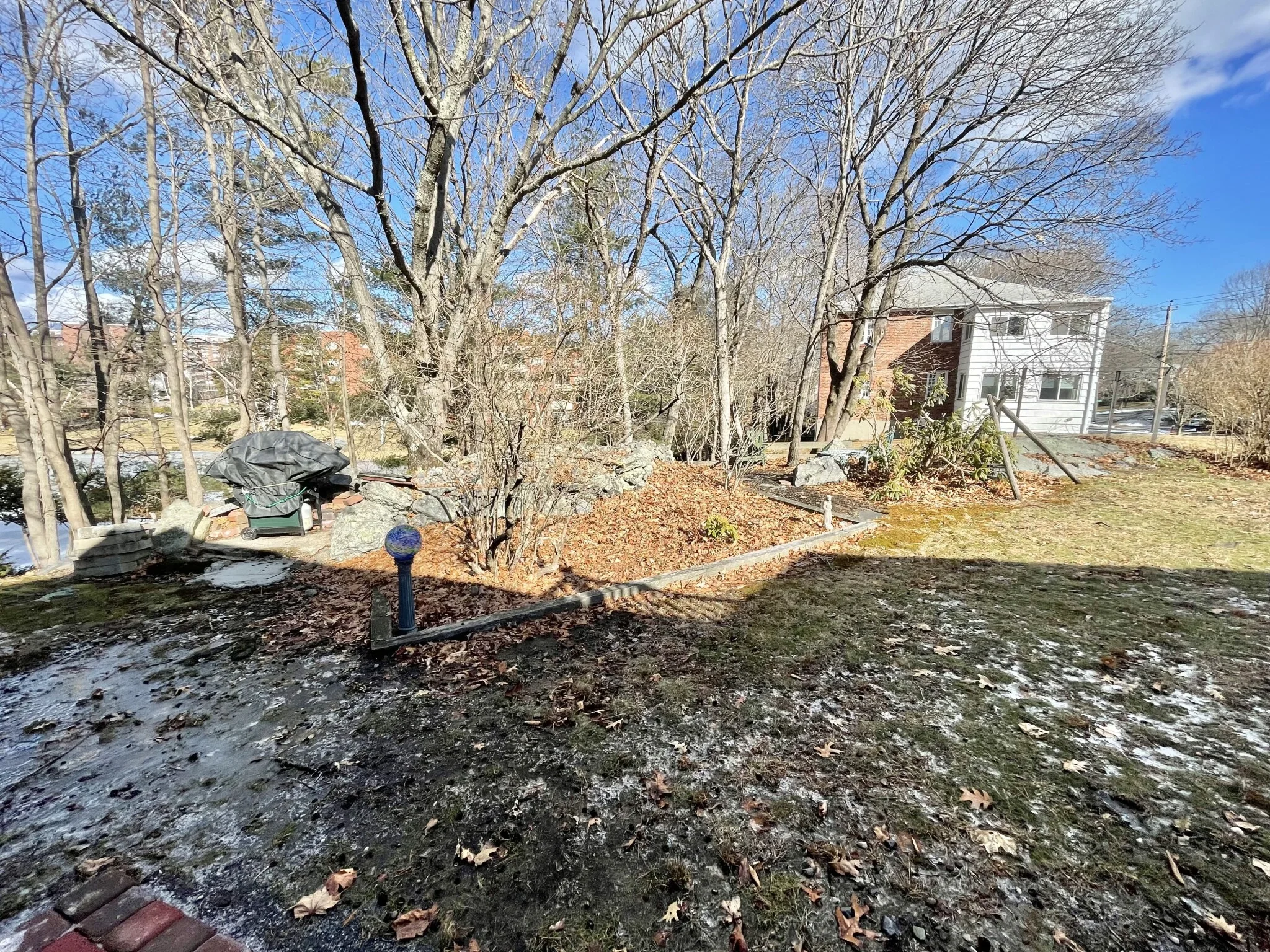 77 Louise, Chestnut Hill