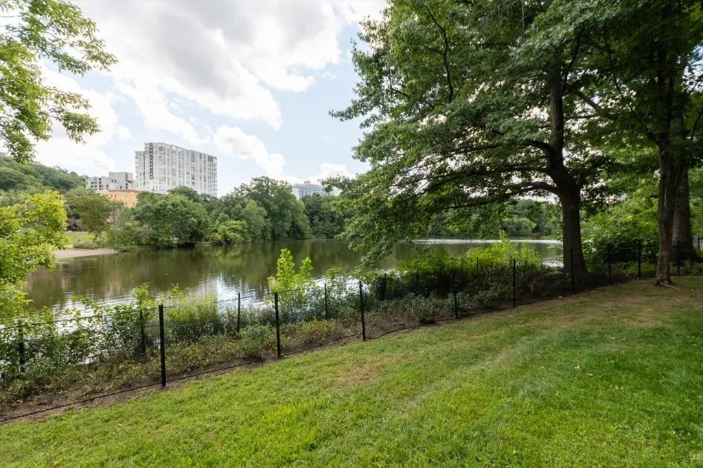 99 Pond Ave, Brookline Village