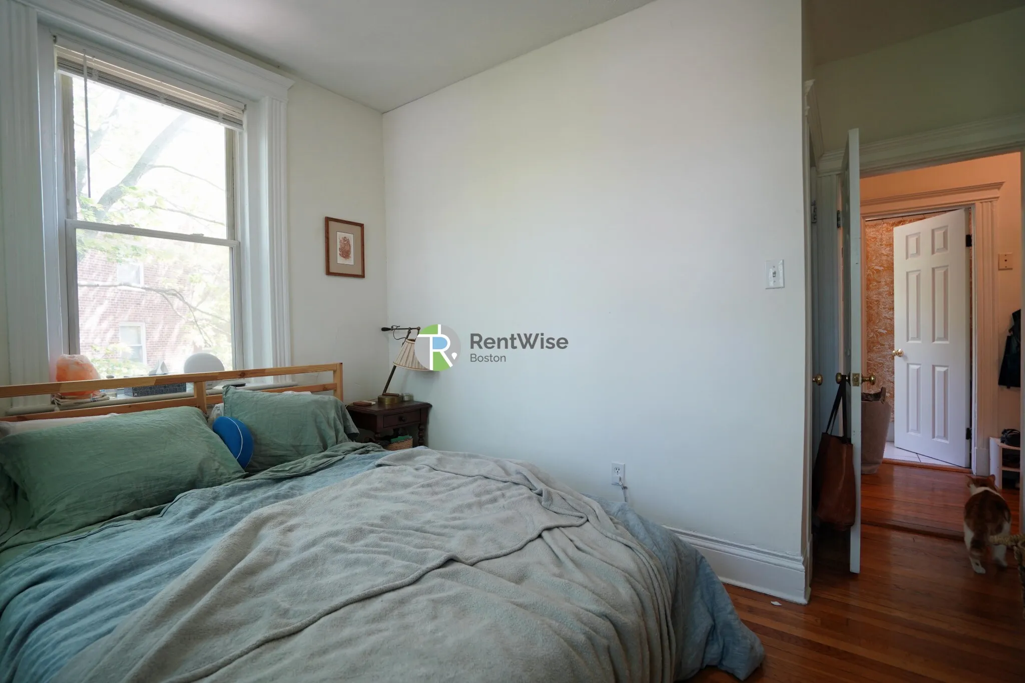 6 Camelot Ct, Brighton