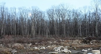 21 Skyview Ln, Webster