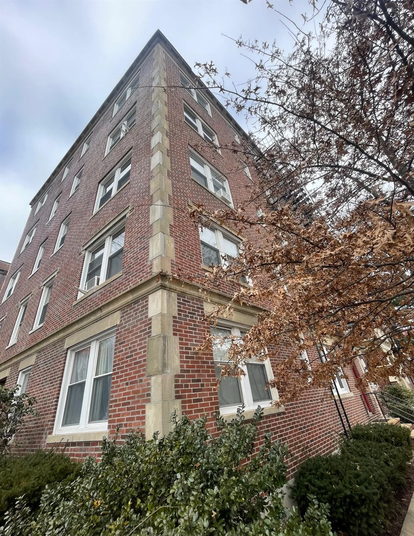 15 Linnaean St, Harvard Square