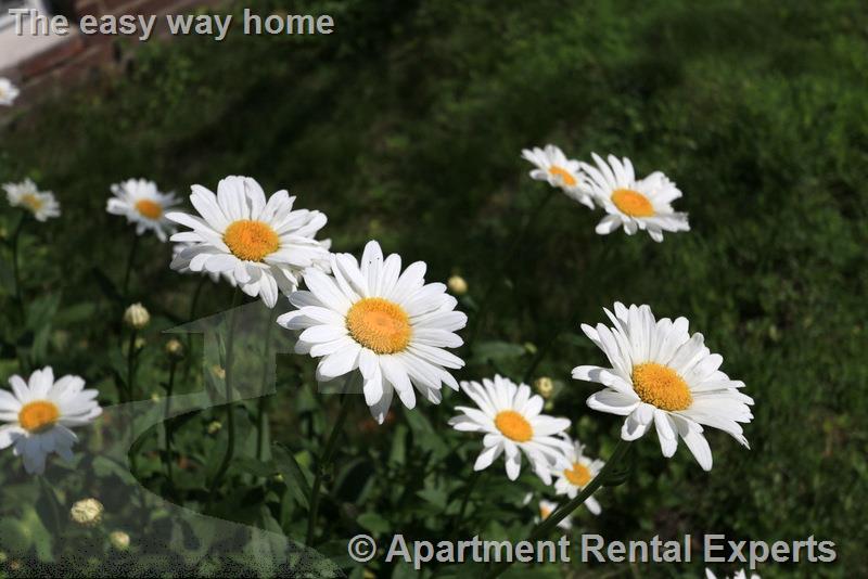 128 Pine St, Central Square