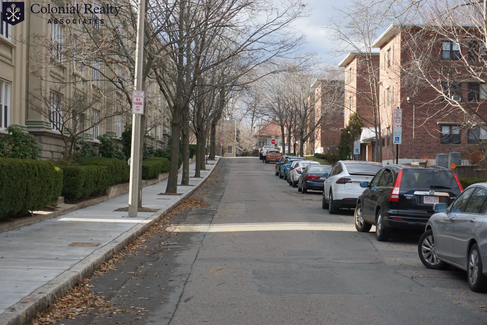 54 Egmont St, North Brookline