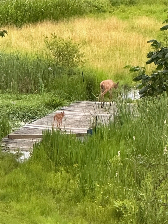 210 Washington St, Sherborn