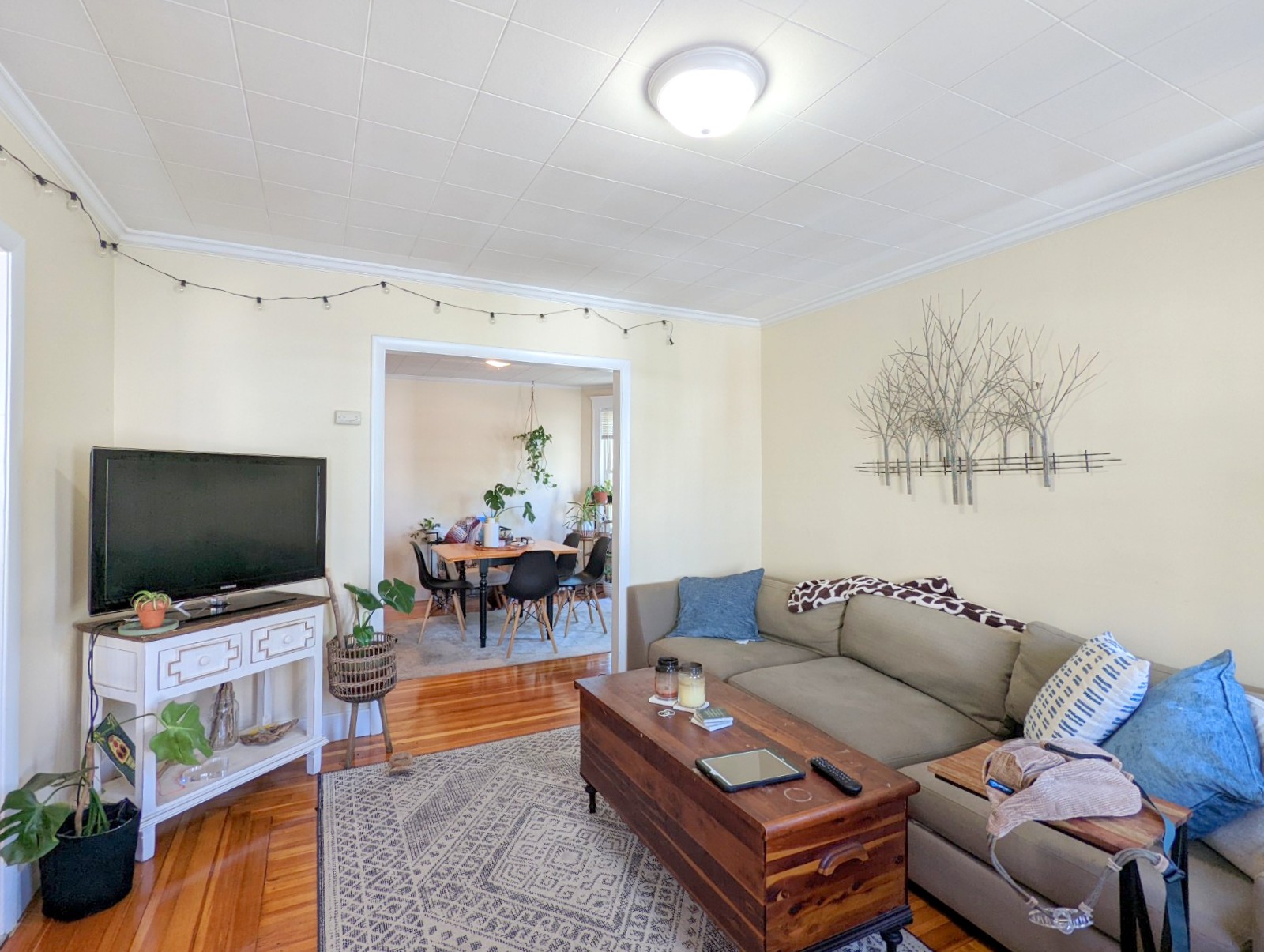 7 Belknap St, West Somerville