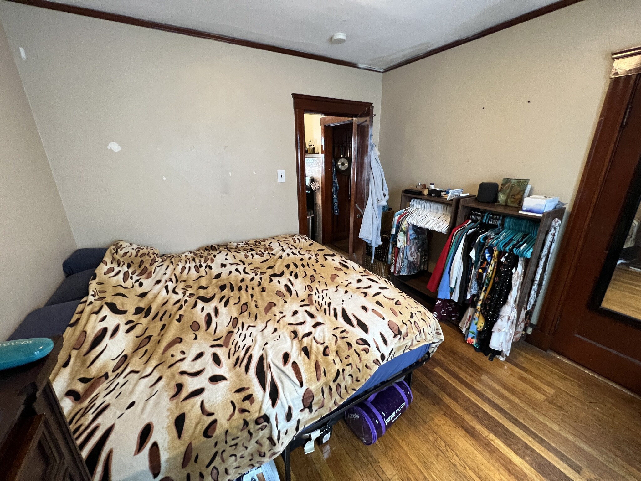 16 Silvey Pl, Spring Hill