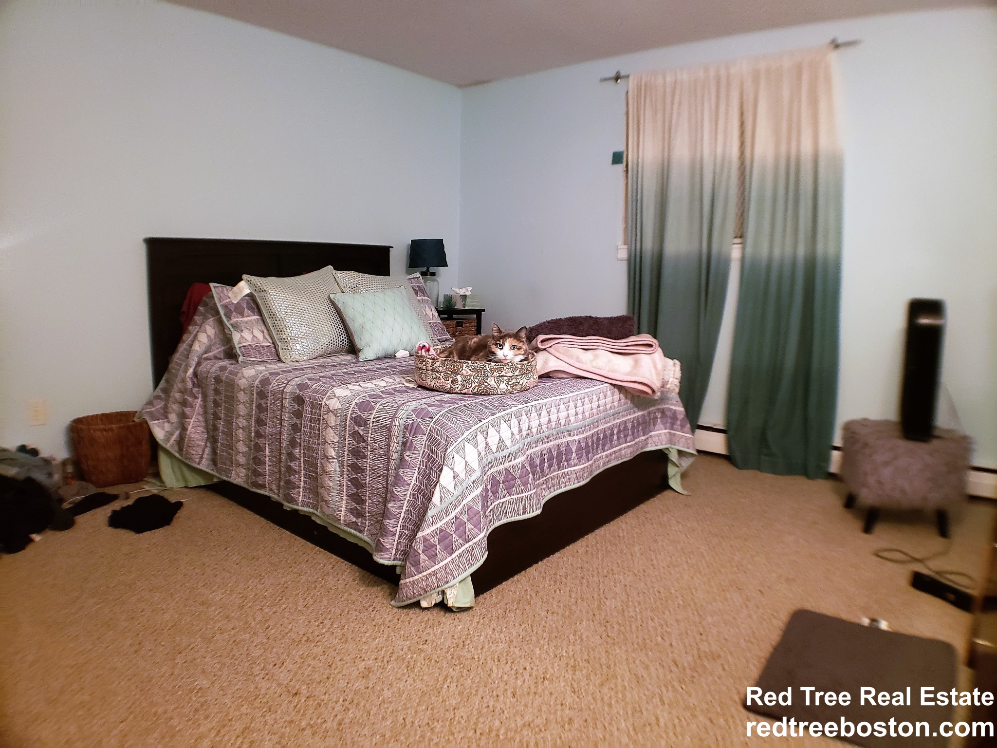 122 Dustin St, Brighton