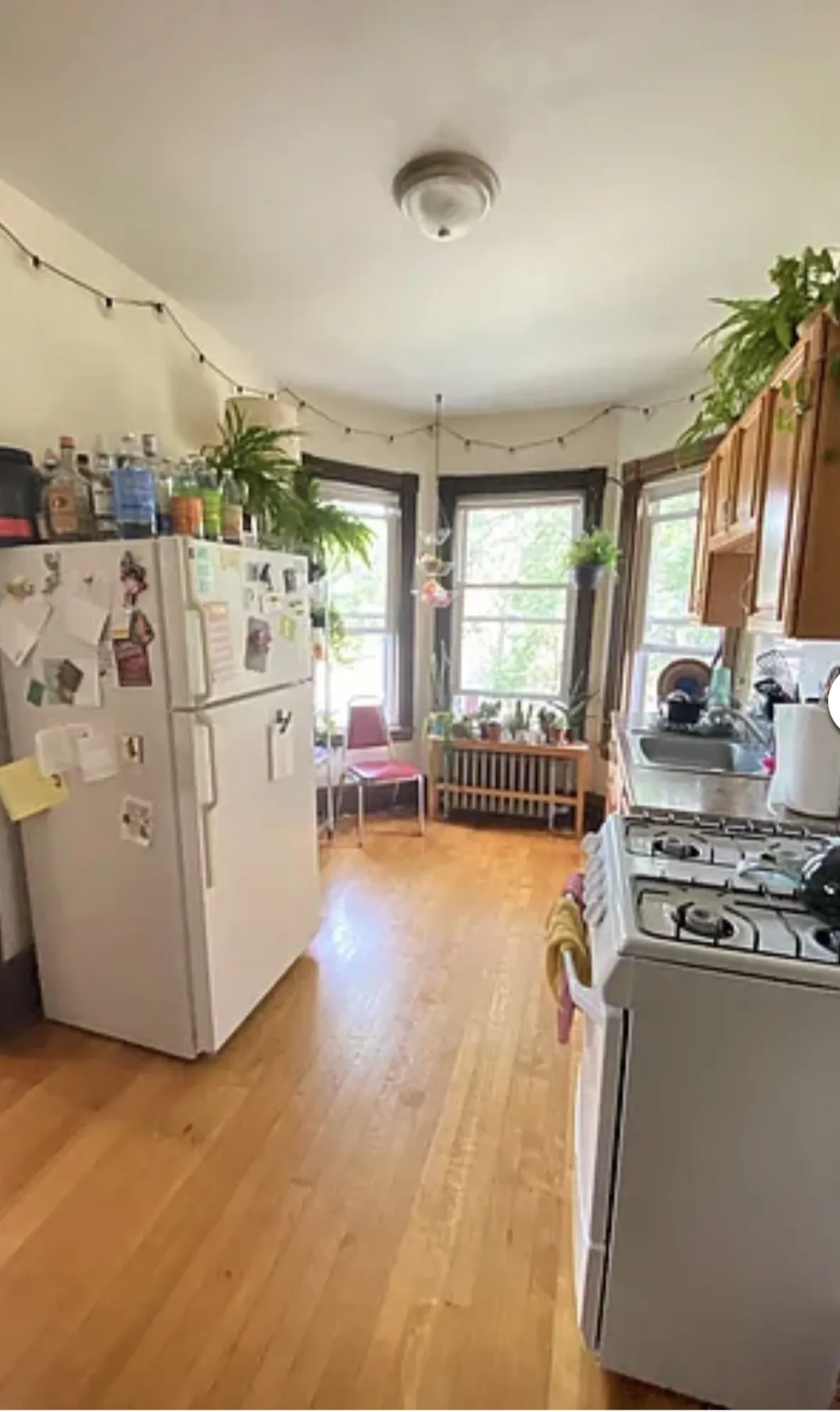 72 Thurston St, Winter Hill