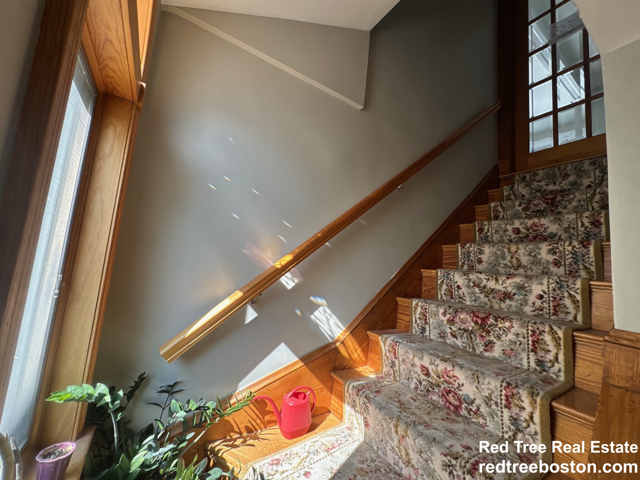 33 Harriet St, Brighton