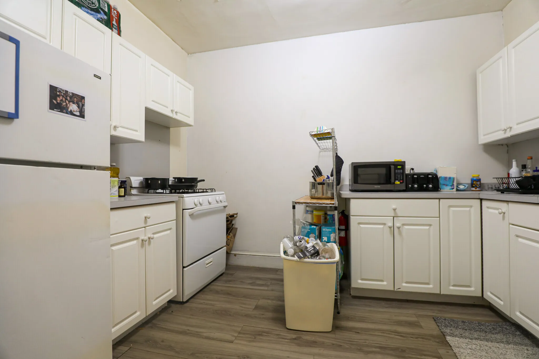 54 Egmont St, North Brookline