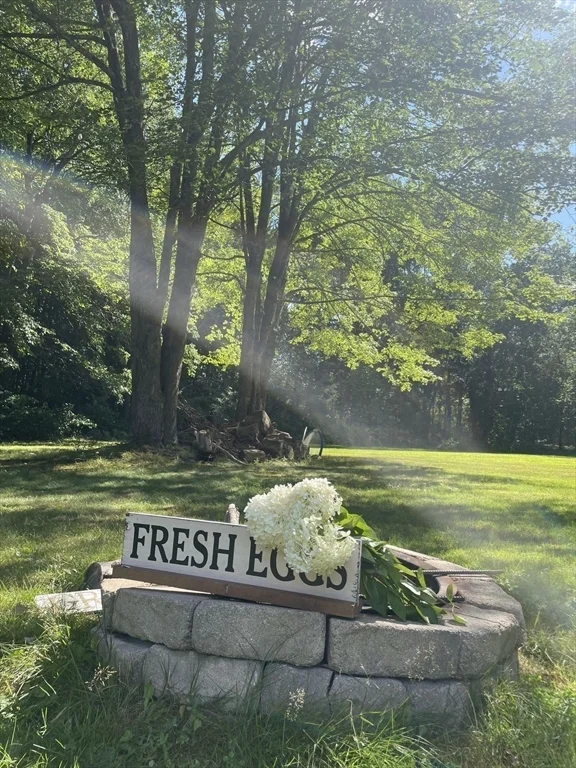 4 Chestnut St, Hopkinton