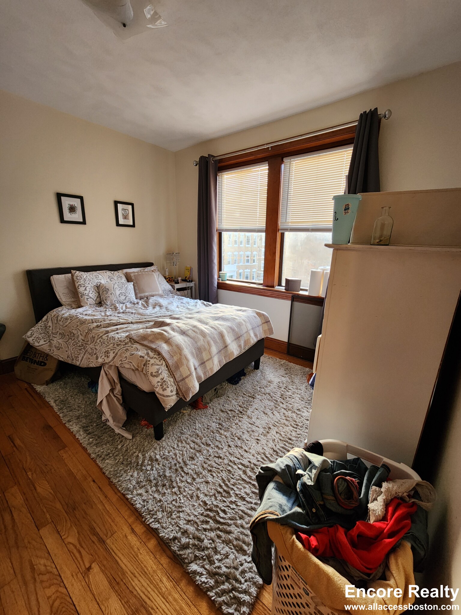 240 Kelton St, Brighton