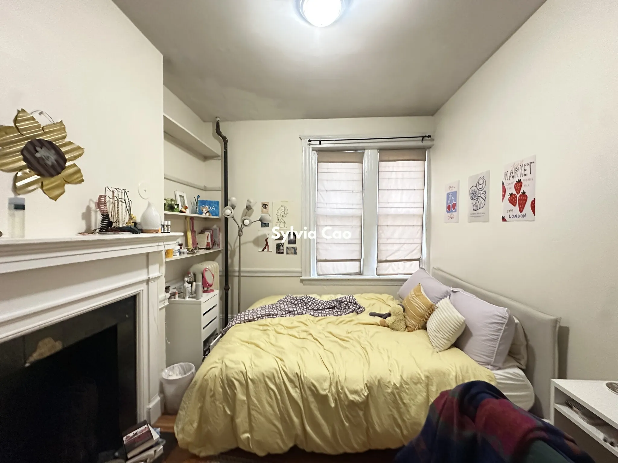 54 Egmont St, North Brookline