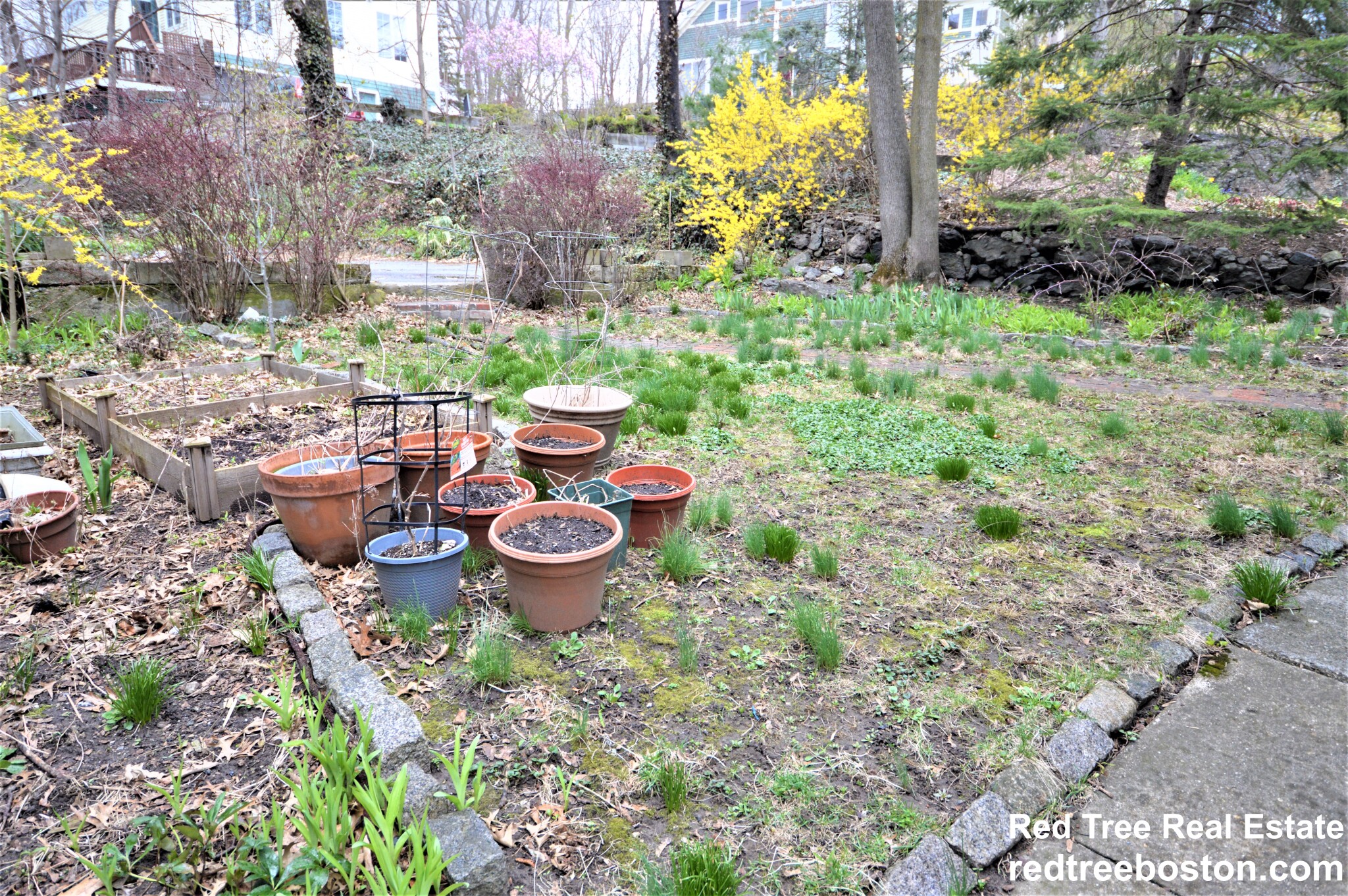 251 Chestnut Ave, Jamaica Plain